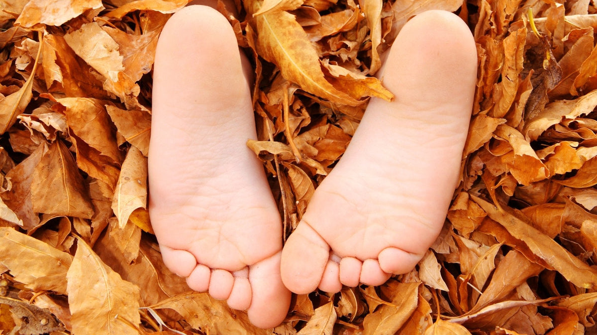 Snuggle into Autumn: How Earthing Sheets Boost Your Sleep