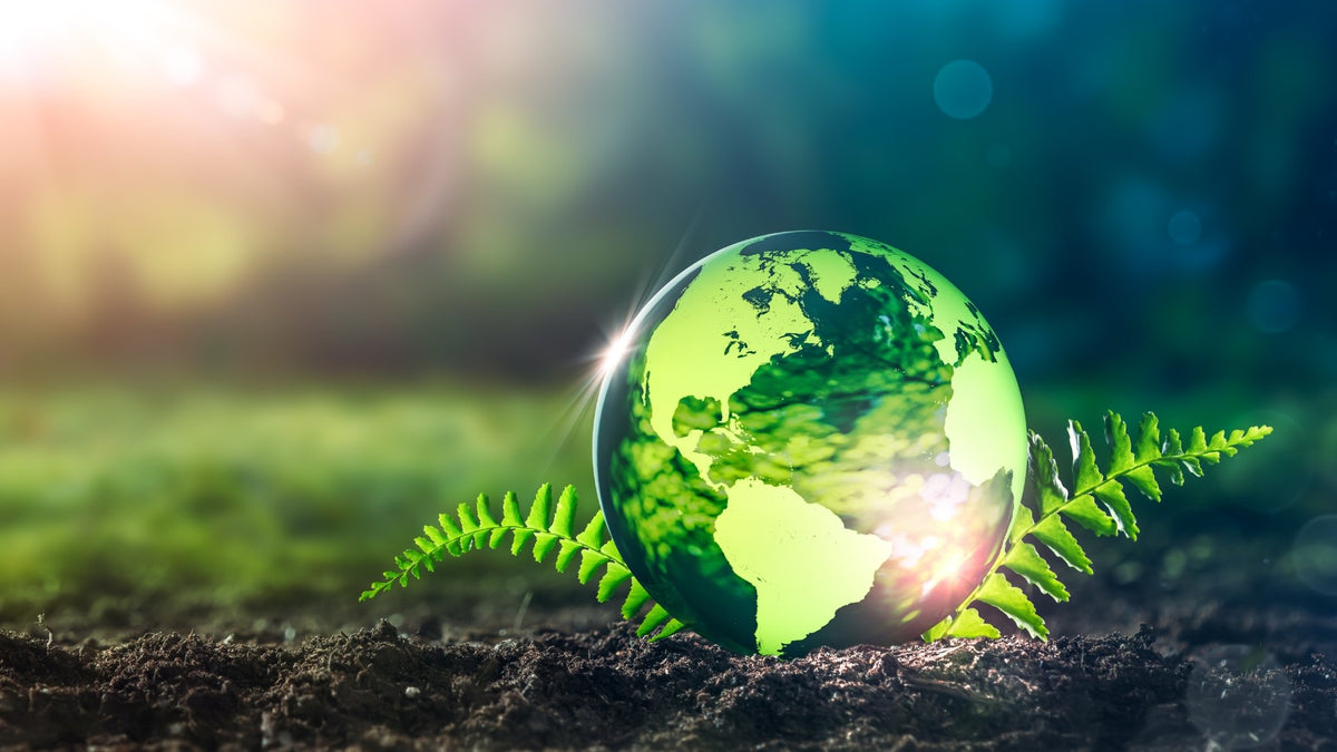 Grounding The Human Body: The Healing Benefits Of Earthing