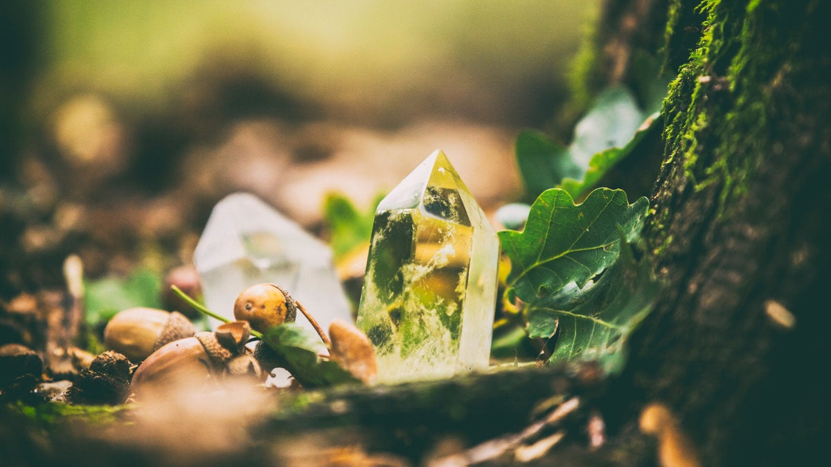 Grounding The Human Body: The Healing Benefits Of Earthing