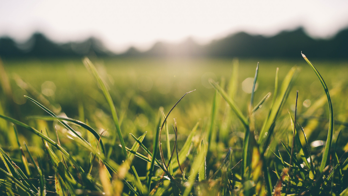 Does Earthing Actually Work?