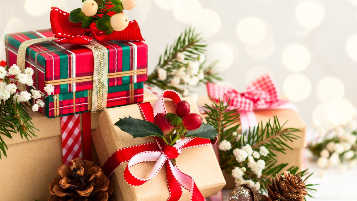 8 Compelling Reasons to Gift an Earthing Sheet this Christmas