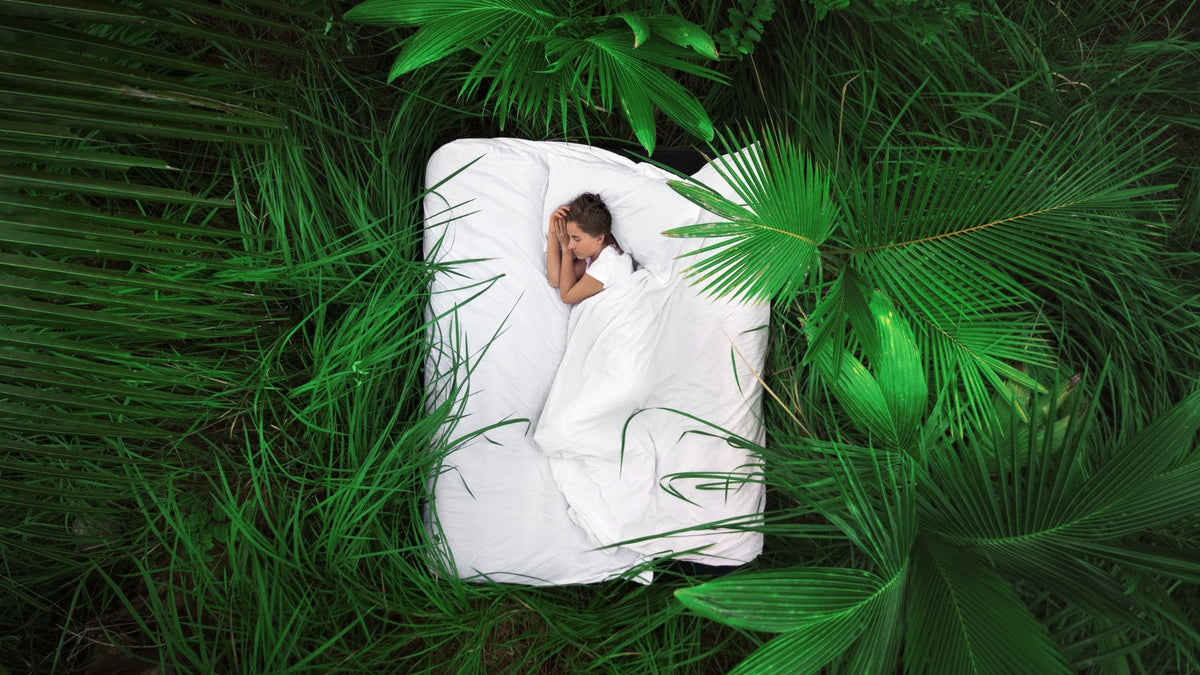 Does grounding help anxiety.. Grounding Mats and earthing sheets working their magic on this lady who is fast asleep on one of the get grounded earthing sheets