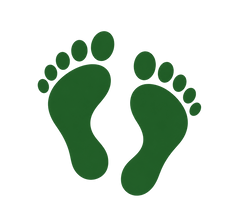 A botanical leaf illustration