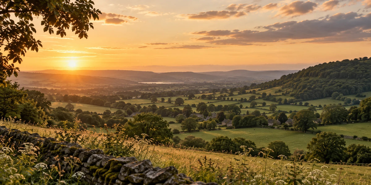Sunset over forested hills and a lake
